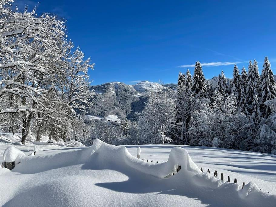 Chalet Alpage Proche Geneve Mégevette Exteriér fotografie