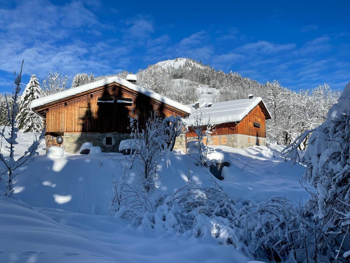 Chalet Alpage Proche Geneve Mégevette Exteriér fotografie